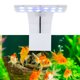 thumbnail image 3 of Luz LED para acuario y plantas acuáticas yuxing 5W con Clip enchufe europeo 100-220V, 3 of 5