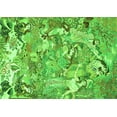 thumbnail image 1 of Ahgly Company Indoor Rectangle Animal Green Traditional Area Rugs, 6' x 9', 1 of 1