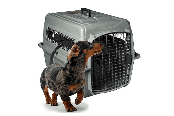 Petmate Sky Kennel Airline Approved Pet Kennel – Pet Crates Direct