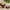 B, variant on Clearance Under $5!Yyuenw 4 Pcs 2.36 Inch Woven Rattan Bird Nest Spring Decoration Props Crafts Easter Party Wedding Garden Patio Yard Home Simulation Bird Nest Decor Model Vine Self Made