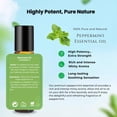 thumbnail image 4 of 3-Pack Peppermint Roll-On Essential Oil for Headaches, Migraine and Nausea, 4 of 7