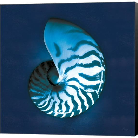 Cyanotype Sea I by Sue Schlabach, Canvas Wall Art