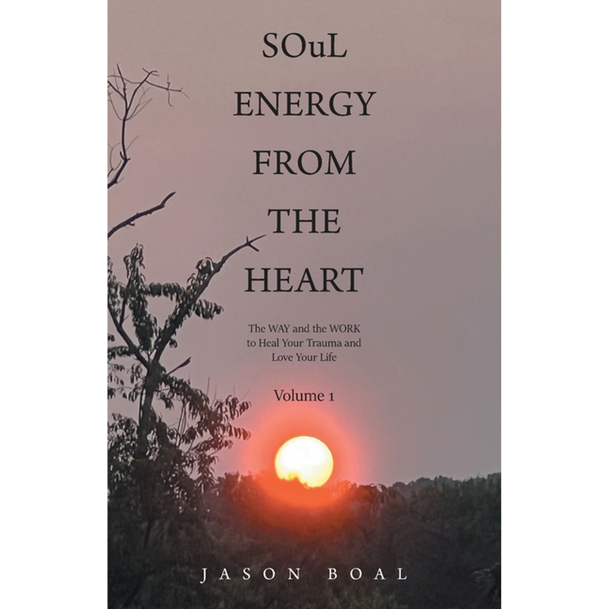 SOuL ENERGY FROM THE HEART: The WAY and the WORK to Heal Your Trauma and Love Your Life Volume 1 (Paperback)
