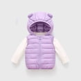 thumbnail image 3 of Fesfesfes Baby Toddler Unisex Hooded Puffer Vest with Bear Ears Lightweight Zip Up Warm Quilted Sleeveless Outerwear for Boys Girls 0-5 Years, 3 of 5