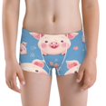 thumbnail image 5 of Yiaed Cute Pig Flowers Print Boys' Boxer Briefs Cotton Casual Stretch Comfort Boys Boxers - Kids Boxer Briefs Underwear for Boys (6-18)-Medium, 5 of 5