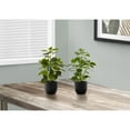 thumbnail image 3 of Artificial Plant - 14" Tall - Ficus - Indoor - Table - Potted - Green Leaves, 3 of 6