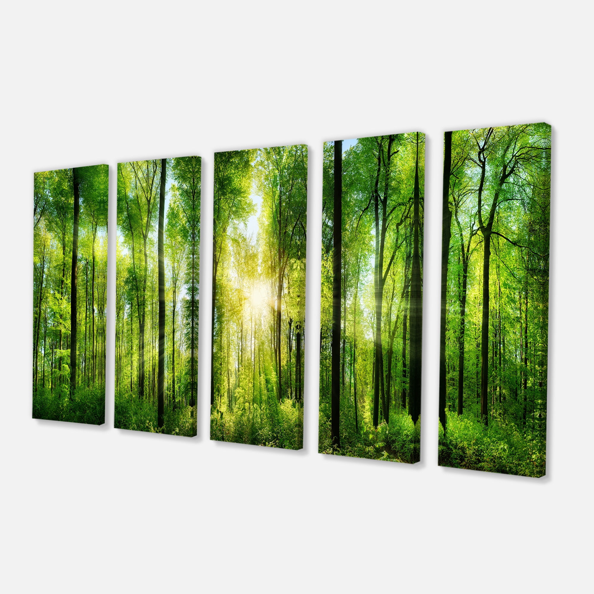 Design Art Forest with Rays of Sun Panorama Landscape Canvas Art Print