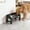 Black22, variant on Tuvgenk Adjustable Elevated Dog Bowls, Stainless Steel, Black, Easy-to-Clean Food & Water Bowl Stands, Non-Slip Pet Feeder Dish Station for Small to Medium Size Dogs