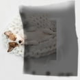 thumbnail image 5 of Lsque Sanrio Pattern Waterproof Throw Blanket Pet Blanket for Dogs & Indoor Cats, Washable - Shaggy Plush Calming Long Faux Fur & Velvet Dog Blanket -, 5 of 8