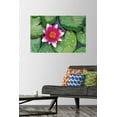 thumbnail image 2 of Zen - Lily Pads Wall Poster with Pushpins, 22.375" x 34", 2 of 6
