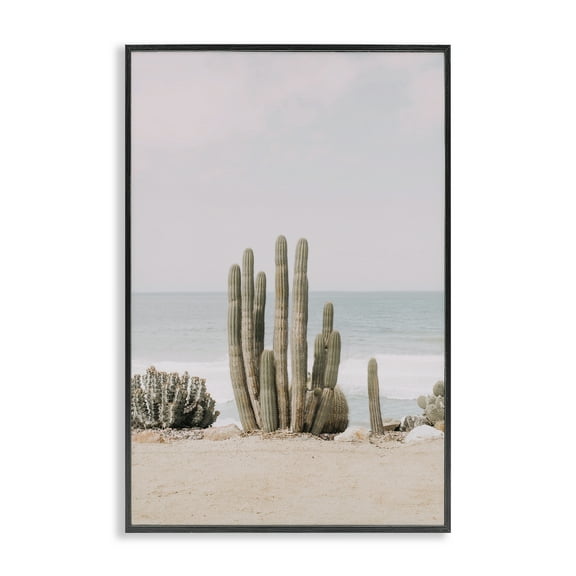 Stupell Industries Cactus on Beach Shore Landscape & Nature Photography Black Framed Art Print Wall Art, 12 x 18