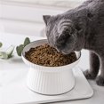thumbnail image 4 of style1 Cuenco elevado de cerámica para comida de gatos, cuenco de agua poco profundo elevado para gatos, perros pequeños, plato de alimentación, 4 of 5