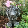 thumbnail image 2 of Homestyles Graystone Lion Muggly Mascot Animal Statue Humorous Planter Pot, 2 of 2