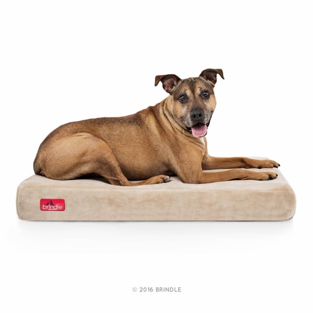 Cama para Perro Brindle Caqui de Memory Foam Ortopédica tamaño Grande