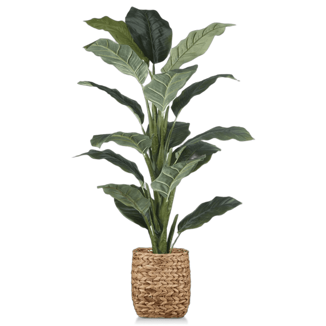 Bouclair Grand Ficus Naturel en Pot de Rotin