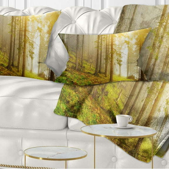 Designart Sun Finds its Way in Forest - Landscape Photography Throw Pillow - 12x20