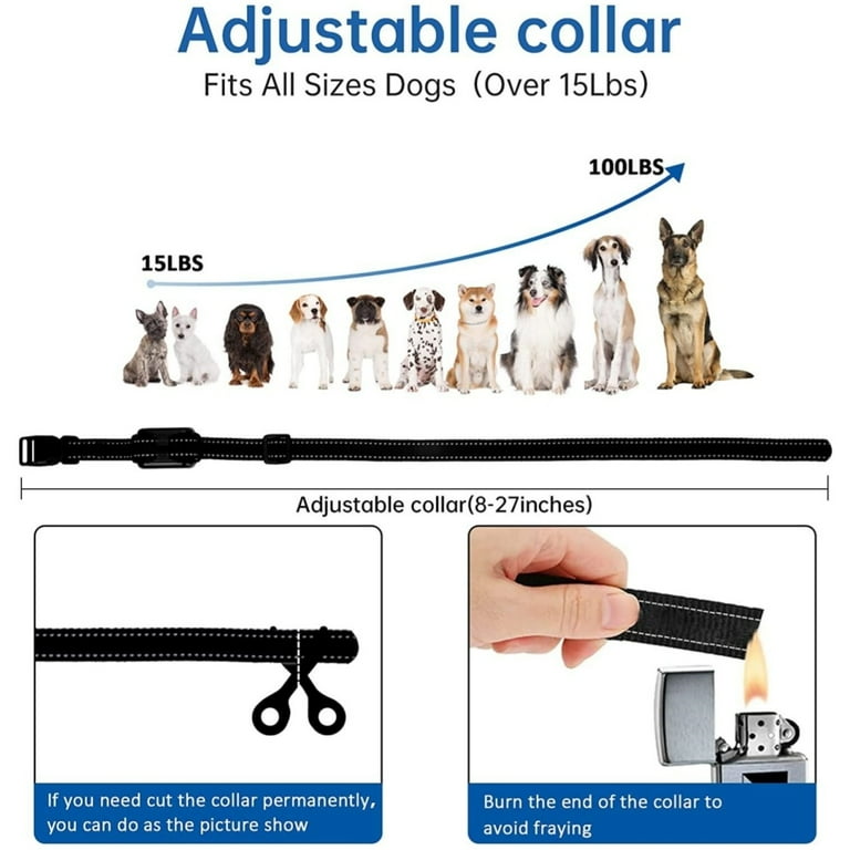 Can A Shock Collar Burn A Dog