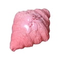 thumbnail image 1 of Jouet à Presser simulation Pain UK Nouveau T3I9, 1 of 8