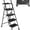 Black .., variant on Favory 2-Step Ladder with Wide Anti-Slip Platform & Thick Rubber Feet | Heavy Duty Foldable & Portable | 330 lbs Capacity, Steel Frame, Rubber Handgrip, Folding Step Stool-Black