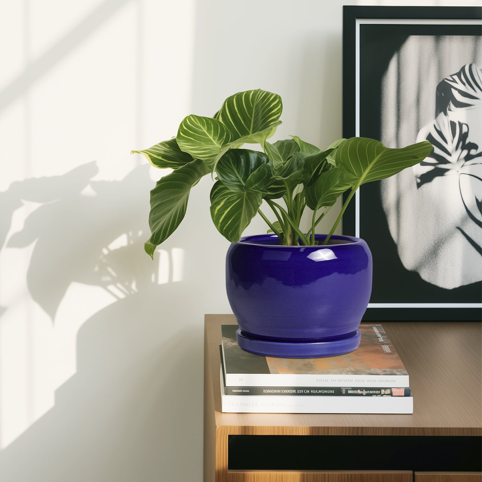 Ordivic 6 inch Cobalt Blue Ceramic Plant Pot with Saucer & Drainage Hole, Small Indoor Flower Planter for Succulents & Herbs, Home Decor
