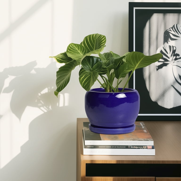 Ordivic 6-Inch Cobalt Blue Ceramic Plant Pot with Saucer photo 4
