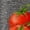Dark Gray, variant on Women's Watercolor Vine Cherry Tomato Fresh Vegetable Graphic V-Neck Sleeveless T-Shirt Soft Lightweight Summer Daily Loose Fit Casual Farm Style Tank Top