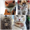 thumbnail image 4 of SHISUYAN Durable Copper DIY Pet Bells for Animals with Soft Sound 4 Pieces Assorted Color, 4 of 8