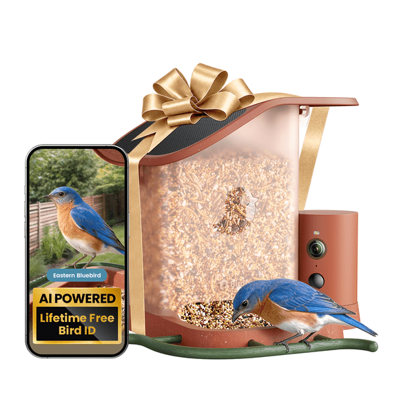 Birdfy Bird Feeder with Camera, Smart Bird Feeder Camera with AI Recognition, Solar Powered, 60FPS Slow Motion Video & 30-Day Free Cloud Storage, Terra