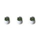thumbnail image 3 of Ounissouiy Simulación suculenta artificial Bonsai Paisaje de flores falsas para el hogar Type3 NO3, 3 of 6