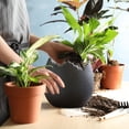 thumbnail image 1 of Meaty Flowerpot Ceramic Potted Rough Pottery Breathable Simple Personality Eggshell Meat Plant Old Pile Flowerpot,Flowerpots With Dish Ceramic, 1 of 7