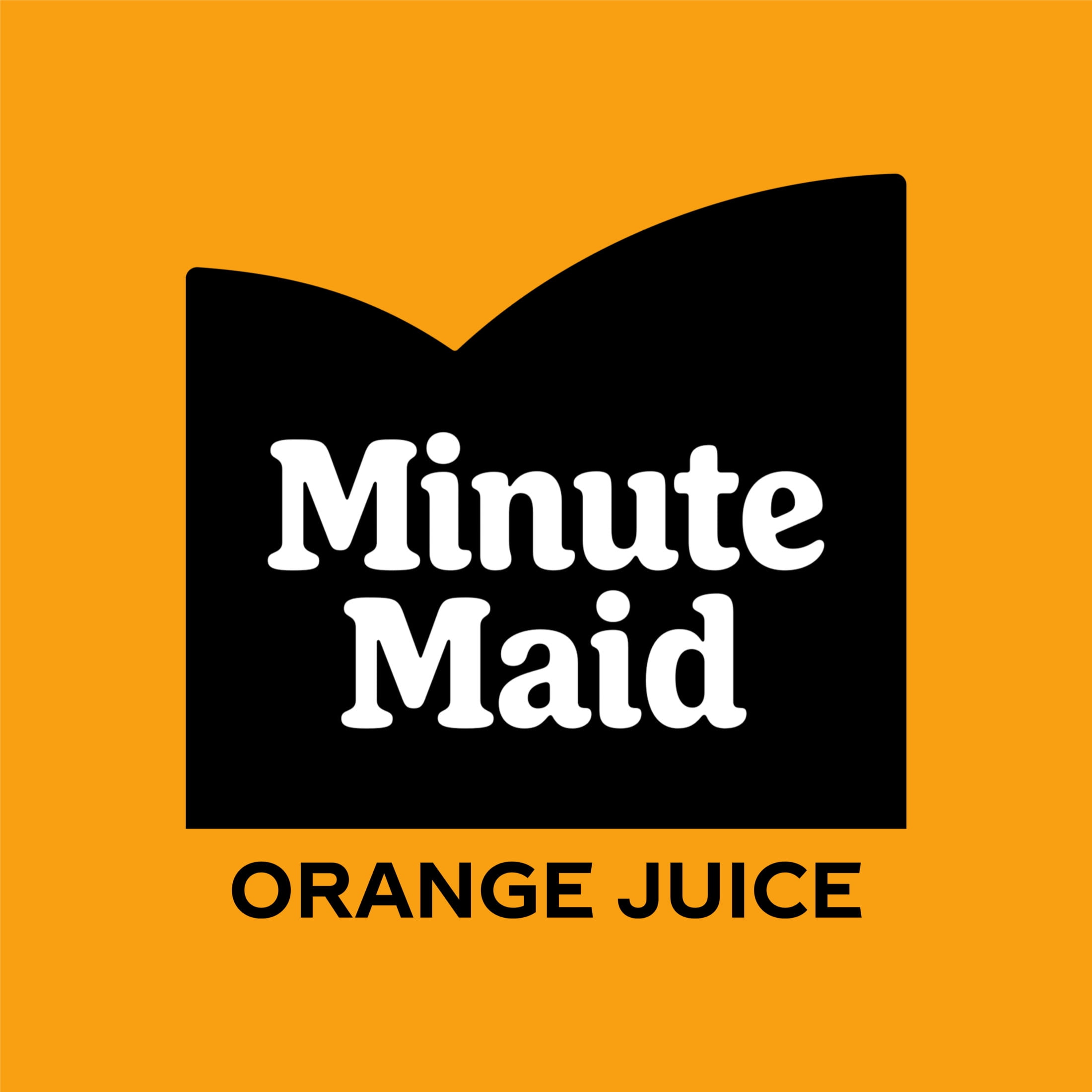 Minute Maid Orange Juice Bottle, 12 fl oz