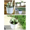 thumbnail image 4 of Pots For Outdoor Indoor Plants Plastic Containers White Caliber 11.7CM 14.7CM 16.5CM Garden Yard Seedlings Greens, 4 of 14