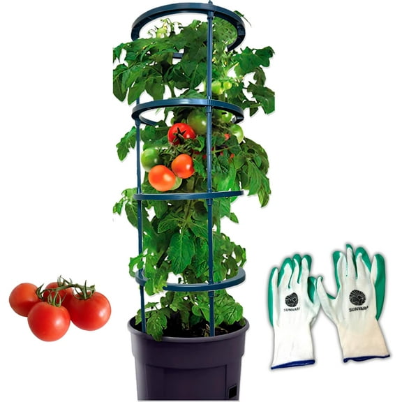 SunVara Tomato Cages Plant Support Cages 4 Packs Square Steel 13 inch for Garden Cages For Vegetables