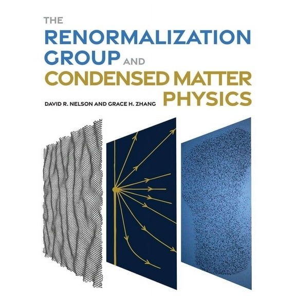 The Renormalization Group and Condensed Matter Physics, (Hardcover)