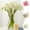 3Pcs wedding flower decorations Under $5 a1, variant on Cagogo Artificial Camellia Flowers, 6 Stems Fake Flowers Bouquet for Wedding Party, 24 Heads Realistic Silk Camellias for Home Decor, Plastic Artificial Flowers for Centerpieces Vase Arrangements