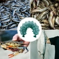 thumbnail image 4 of 1 Pce Appât de Pêche Piège Crabe Piège Filet Minnow Portable Filet de Pêche Portable, 4 of 5