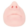 thumbnail image 4 of Silicone Nose Model, Stretchy Versatile Silicone  Model Long Lasting  For School For Teacher Light Skin,Medium Beige,Dark Skin, 4 of 8