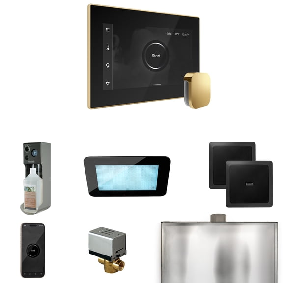 Mr Steam XDream Steam Shower Ctrl Pkg w/iSteamX Control and Steamhead in Black Polished Brass