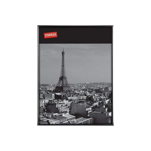 Staples 18" x 24" Aluminum Poster Frame (20194-CC) 810894