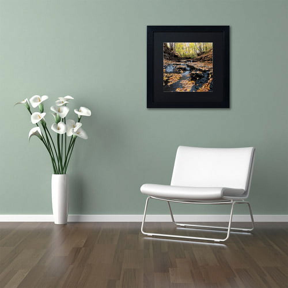 Trademark Fine Art "Lakeview Autumn Falls" Canvas Art by Kurt Shaffer Black Matte, Black Frame