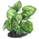 thumbnail image 3 of Plastic Aquatic Plants Ornament For Aquarium Habitat 6.8X4.5X10Cm Light Green Realistic Decoration 1 Set, 3 of 5