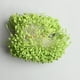 thumbnail image 5 of 1400 estambres artificiales de flores de doble cabeza para decoración de bodas. Verde, 5 of 7
