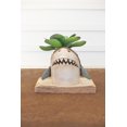 thumbnail image 2 of CERAMIC SHARK PLANTER, 2 of 3
