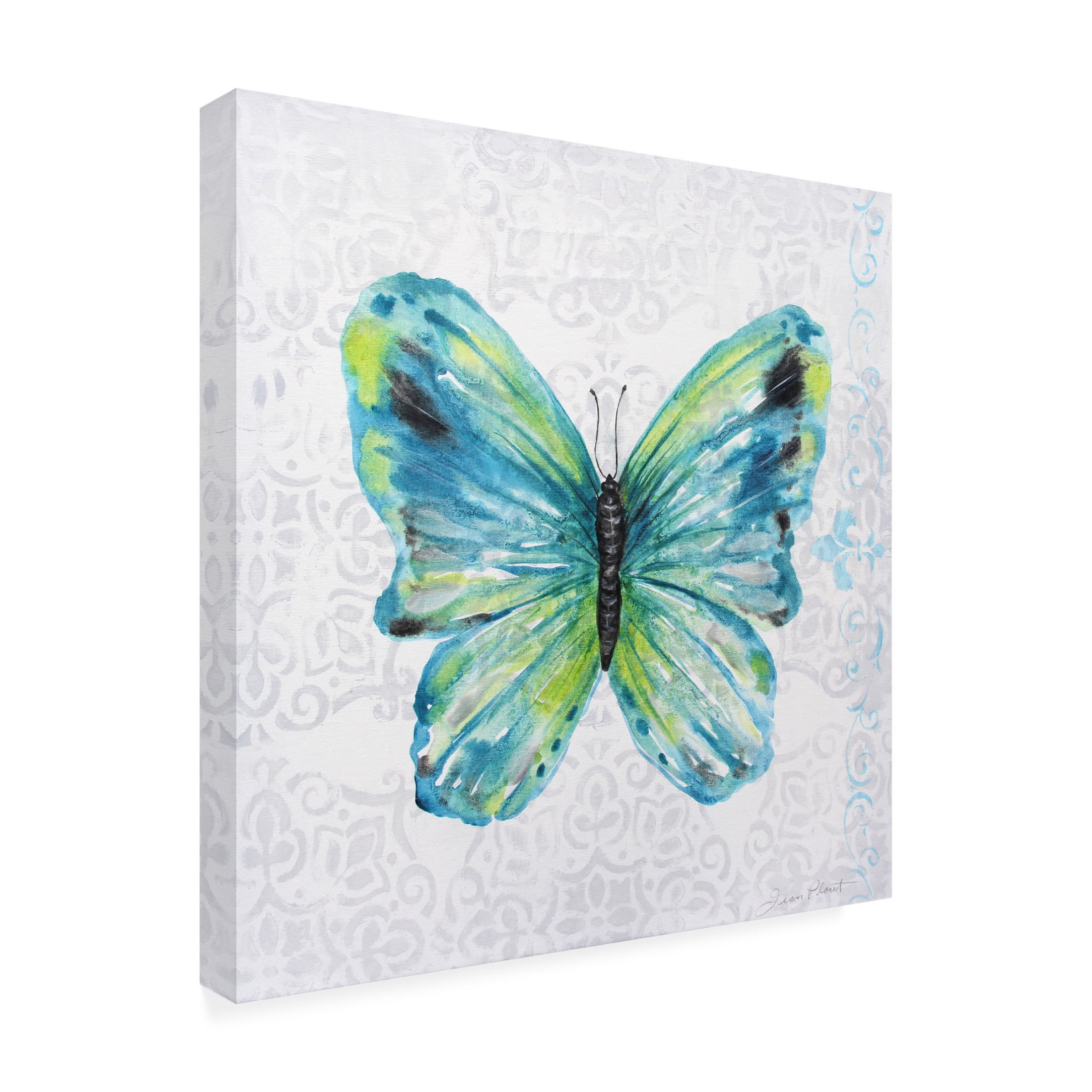 Canvas Wall Art - Jean Plout 'Elegant Butterfly A' Wall Art for Living Room, Bedroom, or Office Décor by Trademark Fine Art - 24 x 24 Inches