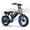 Black, variant on Windhorse Electric Bike for Adults, 750W, 20 mph, 50-mile Range, 16x4 Fat Tire, Full Suspension, UL Certified All-Terrain Ebike