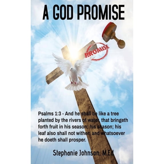 A God Promise, (Paperback)