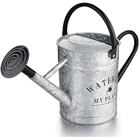Galvanized Watering Can for Outdoor Indoor Plants, 1 Gallon Decorative Countryside Style Water Can with Removable Spout, Perfect Metal Watering Can for Indoor Plants and Garden Flower$$Garden & Patio
