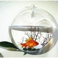 thumbnail image 3 of TheFound Wall-Mounted Glass Flower Pot Transparent Globe Shape Hanging Vase, 3 of 7