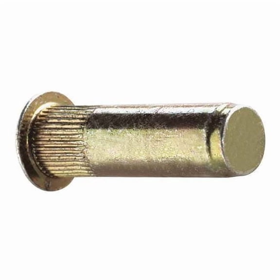 Rivet Nut, 1/4"-20 Thread Size, 0.5 in Flange Dia., 1 in L, Steel, 25 PK