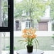 thumbnail image 4 of Bonsái de flores de primavera con hojas, adornos creativos, decoraciones de flores artificiales, plantas verdes artificiales, plantas en macetas, 4 of 5